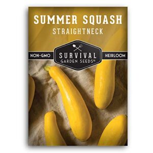 survival garden seeds – straightneck summer squash seed for planting – packet with instructions to plant and grow yellow squash in your home vegetable garden – non-gmo heirloom variety