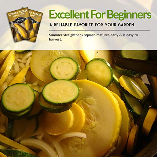 Survival Garden Seeds - Straightneck Summer Squash Seed for Planting - Packet with Instructions to Plant and Grow Yellow Squash in Your Home Vegetable Garden - Non-GMO Heirloom Variety