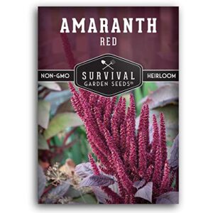 survival garden seeds – red amaranth seed for planting – packet with instructions to plant and grow giant burgundy grain plants in your home vegetable garden – non-gmo heirloom variety