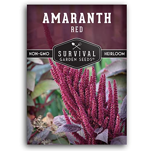 Survival Garden Seeds - Red Amaranth Seed for Planting - Packet with Instructions to Plant and Grow Giant Burgundy Grain Plants in Your Home Vegetable Garden - Non-GMO Heirloom Variety