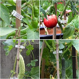 200 Pcs Tomato Clips, Plastic Trellis Clips Plant Support Clips, Plant Clips for Support, Grape Vine, Tomato Vine, Vegetables Plants, Garden Clips to Grow Upright Makes Plants Healthier