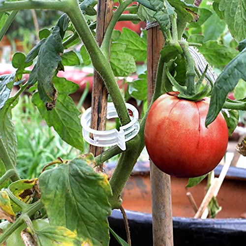 200 Pcs Tomato Clips, Plastic Trellis Clips Plant Support Clips, Plant Clips for Support, Grape Vine, Tomato Vine, Vegetables Plants, Garden Clips to Grow Upright Makes Plants Healthier