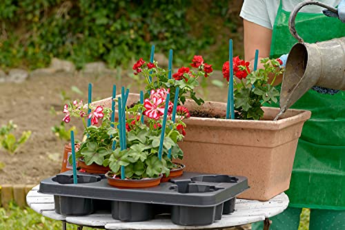 Garden Wood Plant Stakes Green Bamboo Sticks,HAINANSTRY Sturdy Floral Plant Support Stakes Wooden,Wooden Sign Posting Garden Sticks(25 Pack 18 Inches)