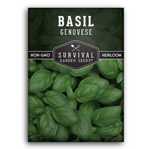 survival garden seeds – genovese basil seed for planting – packet with instructions to plant and grow delicious italian herbs in your home vegetable garden – non-gmo heirloom variety