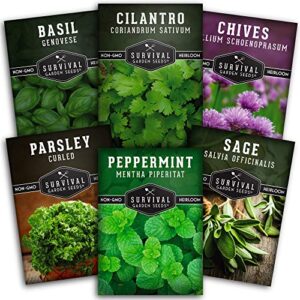 hydroponics herb seed collection for planting – curled parsley, sage, chives, peppermint, cilantro & genovese basil herbs for any indoor gardening system- non-gmo heirloom survival garden seeds