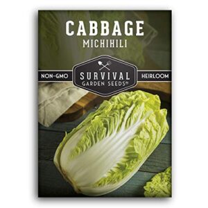 survival garden seeds – michihili napa / nappa cabbage seed for planting – pack with instructions to plant and grow brassica vegetables in your home vegetable garden – non-gmo heirloom variety
