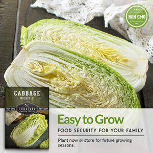 Survival Garden Seeds - Michihili Napa / Nappa Cabbage Seed for Planting - Pack with Instructions to Plant and Grow Brassica Vegetables in Your Home Vegetable Garden - Non-GMO Heirloom Variety