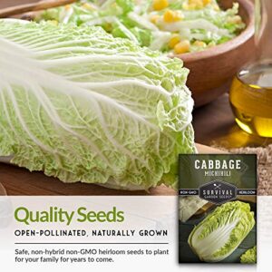 Survival Garden Seeds - Michihili Napa / Nappa Cabbage Seed for Planting - Pack with Instructions to Plant and Grow Brassica Vegetables in Your Home Vegetable Garden - Non-GMO Heirloom Variety