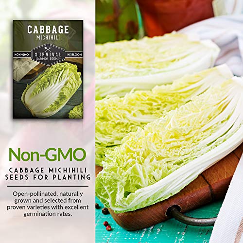 Survival Garden Seeds - Michihili Napa / Nappa Cabbage Seed for Planting - Pack with Instructions to Plant and Grow Brassica Vegetables in Your Home Vegetable Garden - Non-GMO Heirloom Variety