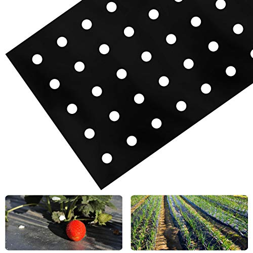 2 Pack 33 x 3 Feet Black Embossed Plastic Film with Planting Holes- 1 Mil Garden Weed Control Barrier Film Mulching Breathable Gardening Farming Landscape Sheeting for Moisture Temperature Maintaining