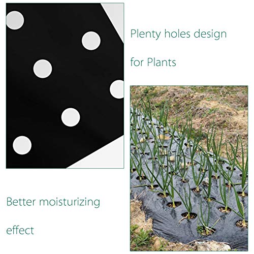 2 Pack 33 x 3 Feet Black Embossed Plastic Film with Planting Holes- 1 Mil Garden Weed Control Barrier Film Mulching Breathable Gardening Farming Landscape Sheeting for Moisture Temperature Maintaining