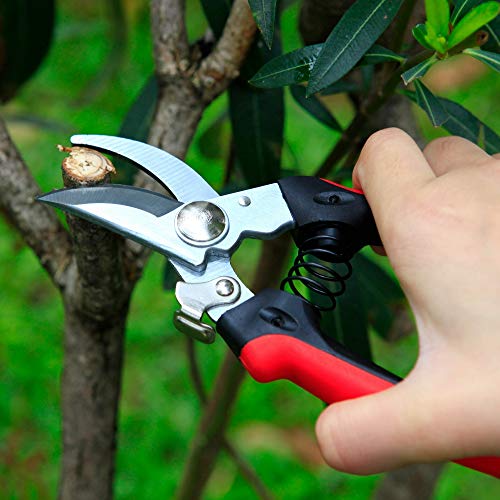 The Gardener's Friend Bypass Pruners for Small Hands, These Pruning Shears are Lightweight and Easy to Use. Ideal for Ladies and Men Gardeners with Small or Weak Hands Perfect Garden Gift