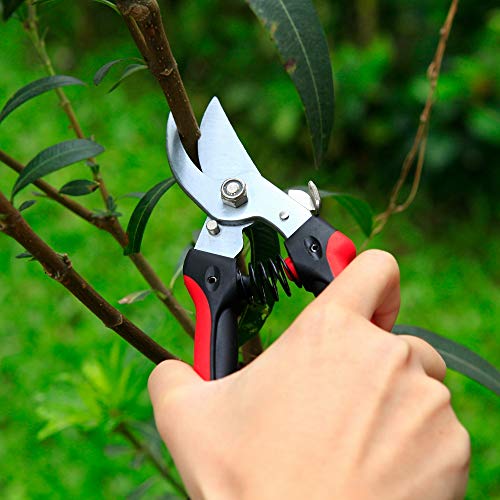 The Gardener's Friend Bypass Pruners for Small Hands, These Pruning Shears are Lightweight and Easy to Use. Ideal for Ladies and Men Gardeners with Small or Weak Hands Perfect Garden Gift