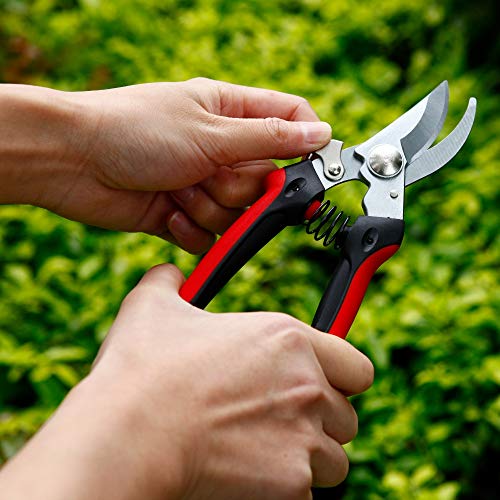 The Gardener's Friend Bypass Pruners for Small Hands, These Pruning Shears are Lightweight and Easy to Use. Ideal for Ladies and Men Gardeners with Small or Weak Hands Perfect Garden Gift