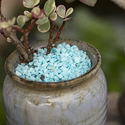 HappyFiller Sea Blue Gravels Mini Pebble Rocks Terrarium Stones Fairy Garden Sands for Top Soil Cover,Succulent Plants,Bonsai,Vase Fillers,Wedding Ceremony,Zen Garden Landscaping,1.5 LB