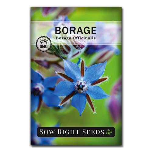 Sow Right Seeds - Large Herbal Tea Garden Seed Collection - Lemon Balm, Mint, German Chamomile, Lavender, Echinacea, Holy Basil, Calendula, Borage, Hyssop, Peppermint Non-GMO Heirloom Seeds