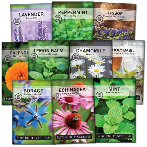 Sow Right Seeds - Large Herbal Tea Garden Seed Collection - Lemon Balm, Mint, German Chamomile, Lavender, Echinacea, Holy Basil, Calendula, Borage, Hyssop, Peppermint Non-GMO Heirloom Seeds