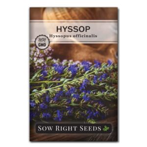 Sow Right Seeds - Large Herbal Tea Garden Seed Collection - Lemon Balm, Mint, German Chamomile, Lavender, Echinacea, Holy Basil, Calendula, Borage, Hyssop, Peppermint Non-GMO Heirloom Seeds