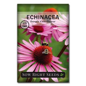 Sow Right Seeds - Large Herbal Tea Garden Seed Collection - Lemon Balm, Mint, German Chamomile, Lavender, Echinacea, Holy Basil, Calendula, Borage, Hyssop, Peppermint Non-GMO Heirloom Seeds