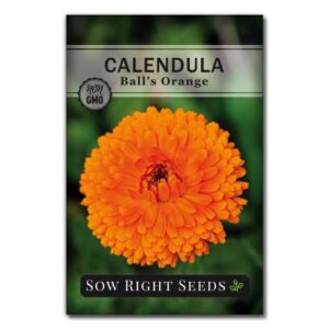 Sow Right Seeds - Large Herbal Tea Garden Seed Collection - Lemon Balm, Mint, German Chamomile, Lavender, Echinacea, Holy Basil, Calendula, Borage, Hyssop, Peppermint Non-GMO Heirloom Seeds