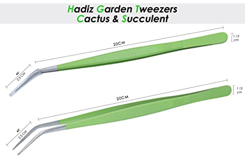 HADIZ Stainless Steel Garden Tweezer Two Piece Set with Curved Tip Tweezers for Cactus and Succulents Gardening