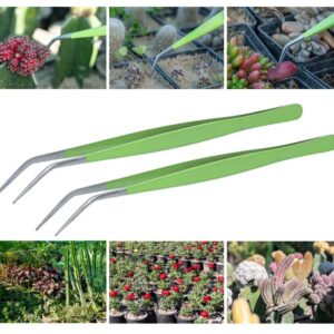 HADIZ Stainless Steel Garden Tweezer Two Piece Set with Curved Tip Tweezers for Cactus and Succulents Gardening