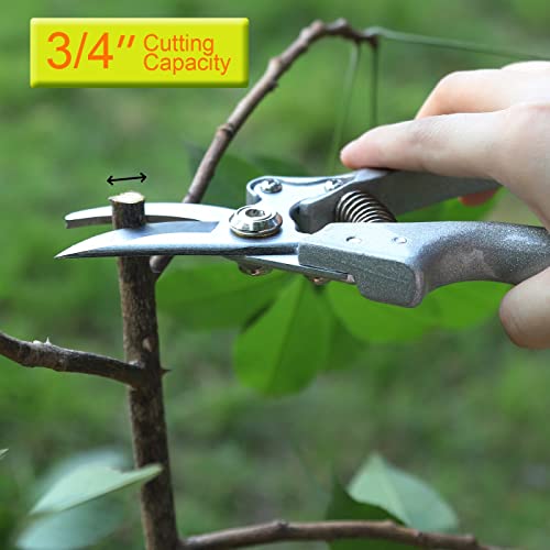 JOYFUL&HOPEFUL Bypass Pruning Shear, Garden Shear Pruner with Precision Blade for Gardening,Trimming Plant Tree Flower