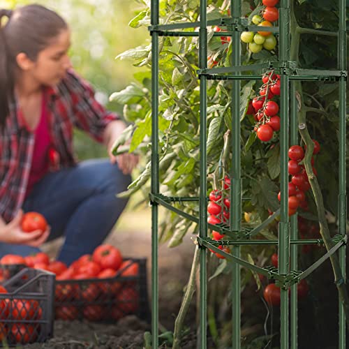 Canmilar 3 Pack Tomato Cages,Up to 51inch Plant Stakes Vegetable Trellis Assembledfor Garden Climbing Plants Vegetables Flowers