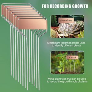 30PCS Metal Garden Plant Labels Plant Tags, Metal Garden Markers, Copper Garden Labels Plant Markers Tags Reusable Weatherproof Rainproof Garden Plant Labels, 4 inch&6inch (Copper)