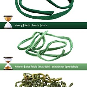 Biostretch Soft Plant Ties for Climbing Plants (Stretchy Green Garden Twine and Plant String - Olive Bio Roll X 1)