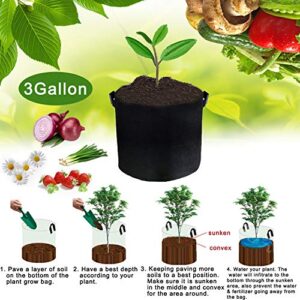 JES&MEDIS 12-Pack 3 Gallon Plant Grow Bags Thick Aeration Non Woven Fabric Flower Vegetable Pots with Handles Garden Container Black (3 Gallon_12 Pack)