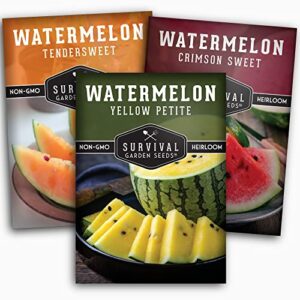 Survival Garden Seeds Tri-Color Watermelon Collection Seed Vault - Non-GMO Heirloom Mix for Planting Juicy Watermelons - Yellow Petite, Crimson Sweet (Red), & Tendersweet Orange Varieties