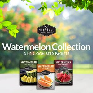 Survival Garden Seeds Tri-Color Watermelon Collection Seed Vault - Non-GMO Heirloom Mix for Planting Juicy Watermelons - Yellow Petite, Crimson Sweet (Red), & Tendersweet Orange Varieties