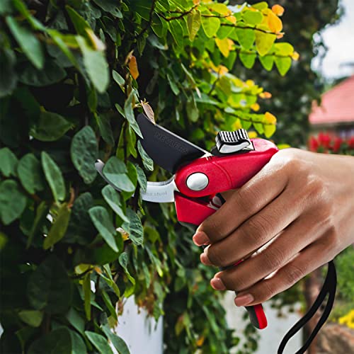 Nevlers 8" Bypass Pruning Shears for Gardening | Garden Shears with Stainless Steel Blades & 8mm Cutting Capacity| Professional Garden Scissors | Heavy Duty Gardening Hand Tools | Red Gardening Shears