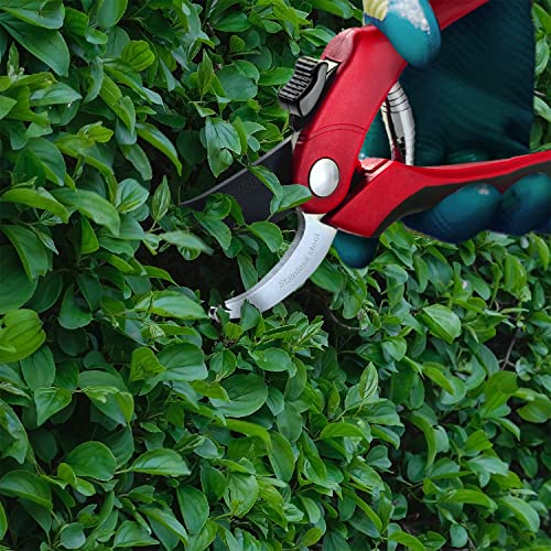 Nevlers 8" Bypass Pruning Shears for Gardening | Garden Shears with Stainless Steel Blades & 8mm Cutting Capacity| Professional Garden Scissors | Heavy Duty Gardening Hand Tools | Red Gardening Shears