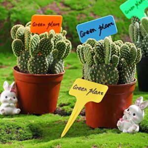 Evanda Plant Labels 100 pcs 5 Color , Durable Vegetable Labels Plastic Plant T-Type Tag, Outdoor Garden Nursery, Easily Differentiate Plant Types, Re-Usable Plant Tags