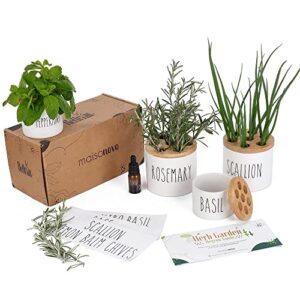 maisonovo regrow indoor herb garden starter kit for kitchen counter & windowsill | herb garden kit indoor for growing fresh herbs from scraps in water | set of 4 pods