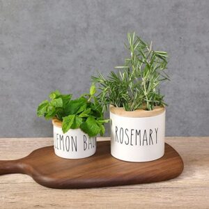 MaisoNovo Regrow Indoor Herb Garden Starter Kit for Kitchen Counter & Windowsill | Herb Garden Kit Indoor for Growing Fresh Herbs from Scraps in Water | Set of 4 Pods