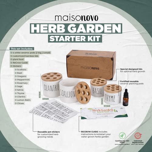 MaisoNovo Regrow Indoor Herb Garden Starter Kit for Kitchen Counter & Windowsill | Herb Garden Kit Indoor for Growing Fresh Herbs from Scraps in Water | Set of 4 Pods