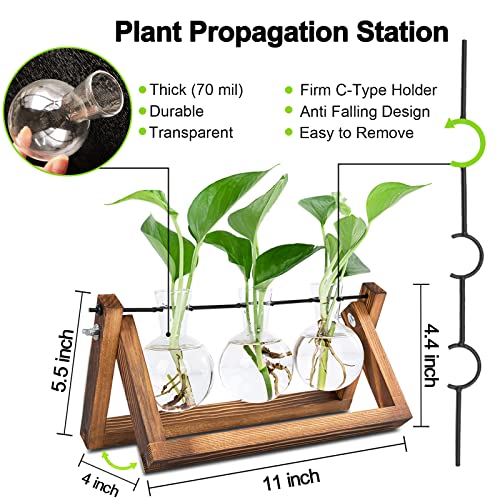 RENMXJ Plant Propagation Station, Gifts for Women, Home Office Garden Decor Planter(3 Bulb Vase)