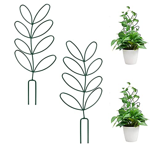 Leaf Trellis for Climbing Plants Indoor, Mini Garden Plant Support for Indoor Plants, Pothos Live Plant for Plant Lovers DIY Planting Vines Vegetables Ivy Hoya Houseplants, 2 Pack Green Metal