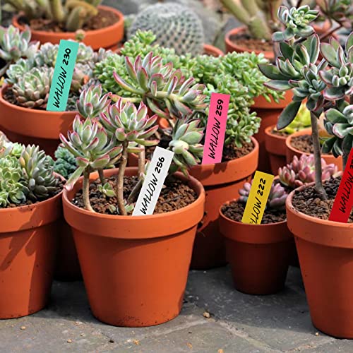 Foraineam 600 Pcs 4 Inches Plant Labels 6 Colors Plastic Waterproof Plant Tags Nursery Garden Labels Pot Marker Garden Stake Tags