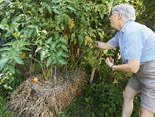 BaleBuster4 Starter Kit Includes Straw Bale Gardens Complete Book with Instructions for Step-by-Step Garden Set up.