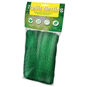 de-bird: trellis netting for climbing garden plants, grow garden flowers, green pea and vine plants