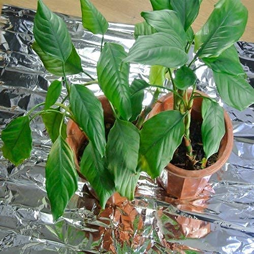 NAVADEAL 2 Pack Silver Highly Reflective Mylar Films, 82x 47Inch, Metallized Foil Covering Sheet, Garden Greenhouse Farming, Increase Plant Growth Save Power, Reduce Uneven Heat Environment Safe