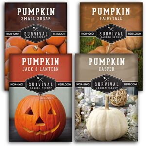 survival garden seeds pumpkin collection seed vault – non-gmo heirloom seeds for planting vegetables – fairy tale, jack o’lantern, small sugar pumpkins for growing in your vegetable garden