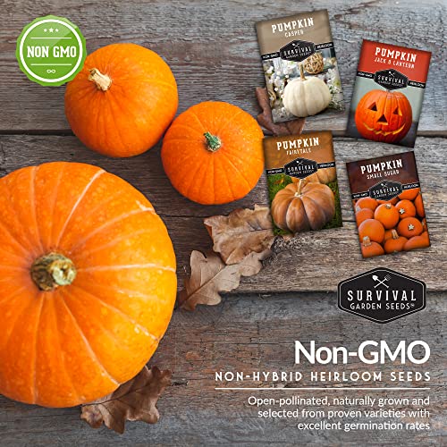 Survival Garden Seeds Pumpkin Collection Seed Vault - Non-GMO Heirloom Seeds for Planting Vegetables - Fairy Tale, Jack O'Lantern, Small Sugar Pumpkins for Growing in Your Vegetable Garden