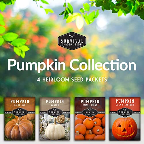 Survival Garden Seeds Pumpkin Collection Seed Vault - Non-GMO Heirloom Seeds for Planting Vegetables - Fairy Tale, Jack O'Lantern, Small Sugar Pumpkins for Growing in Your Vegetable Garden