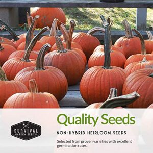 Survival Garden Seeds Pumpkin Collection Seed Vault - Non-GMO Heirloom Seeds for Planting Vegetables - Fairy Tale, Jack O'Lantern, Small Sugar Pumpkins for Growing in Your Vegetable Garden