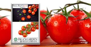 small red cherry tomato seeds, 500 heirloom seeds per packet, (isla’s garden seeds), non gmo seeds, botanical name: solanum lycopersicum
